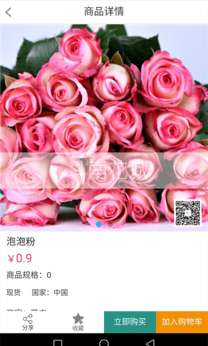 斗南花城最新版