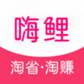 嗨鲤淘淘app