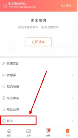 大白汽车分期app