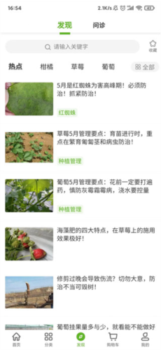 大丰收农服平台