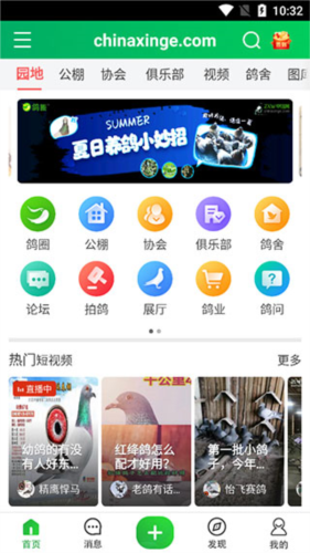 中国信鸽信息网app