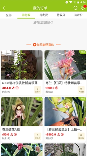 兰花交易网app