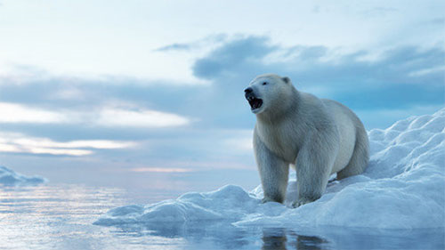 tiktok破解版安卓直接观看