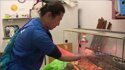 大视界tv海外版