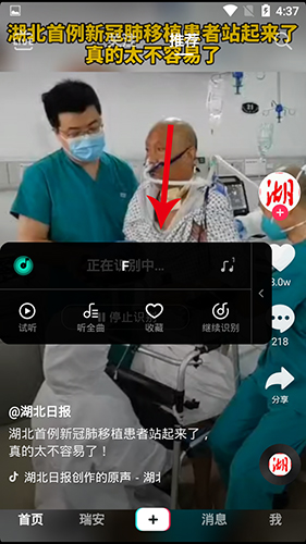 Q音探歌APP
