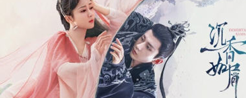 蜂鸟视频2023官方版