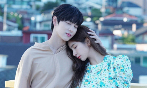 柿子小本追剧安卓版