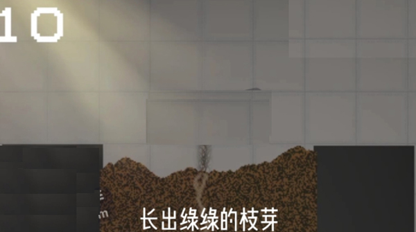 甜瓜游乐场官方正版