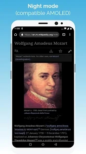 KiwiBrowser官方版