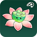 禅定花园APP