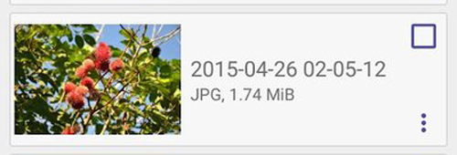 Diskdigger Pro中文版