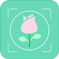 拍照识花app