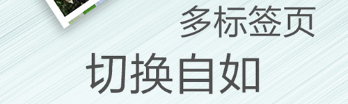 海豚浏览器国际服