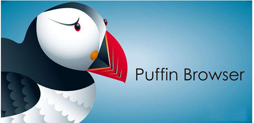 海鹦浏览器2021最新版