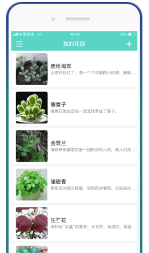 花信app