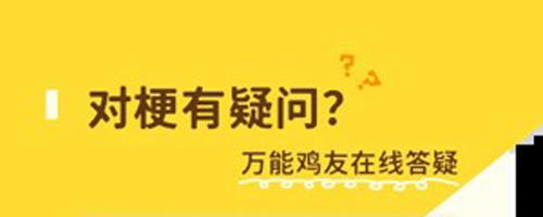 哈奶啤小鸡词典app