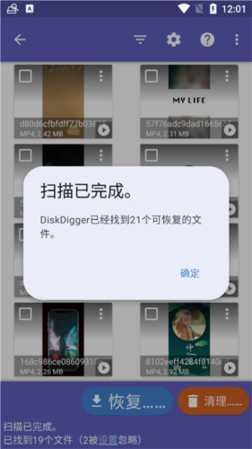 Diskdigger Pro中文版