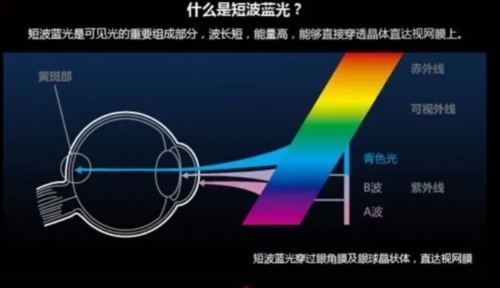 蓝光过滤器解锁付费版