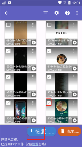 Diskdigger Pro中文版