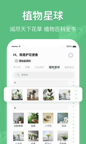 花将app