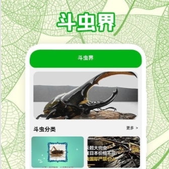 疯狂蛐蛐儿最新版