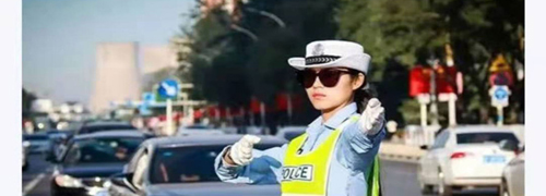 保定交警安卓版