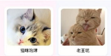 猫语翻译大师app