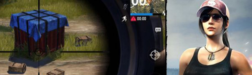 绝地求生亚服手机版