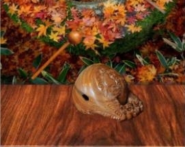 wooden fish安卓版