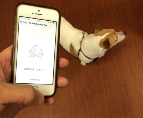 Pet Translator app