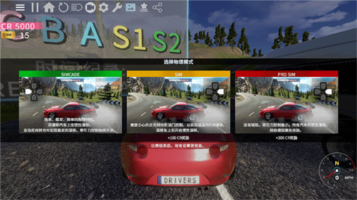 RS开放世界驾驶内购版