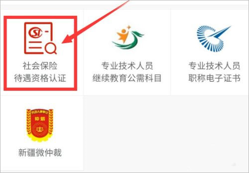 新疆智慧人社app