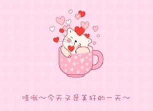 钱夫人记账最新版