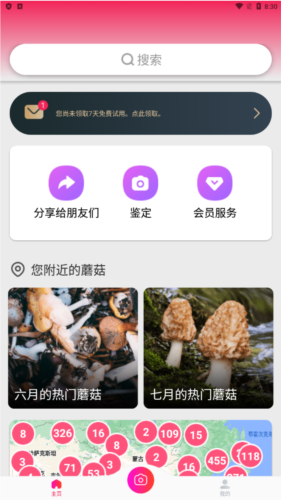 蘑菇识别扫一扫app