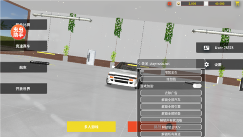 真实赛车体验涂装mod