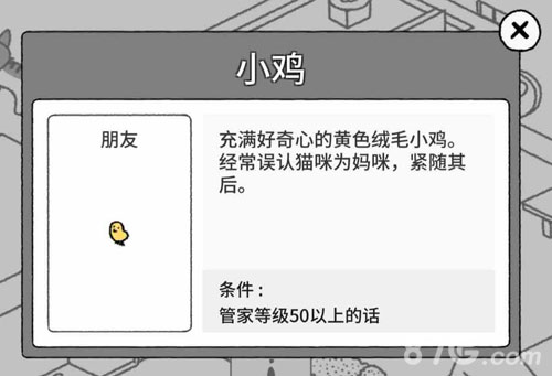 猫咪真的很可爱