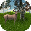 动物狩猎模拟器