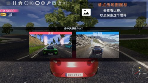 RS开放世界驾驶内购版