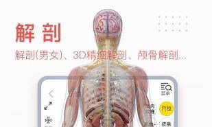 3Dbody艺用app