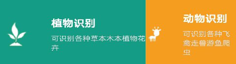 万能拍照识别app