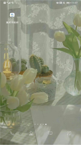 重庆市政府渝康码安卓版