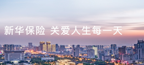 掌上新华手机版