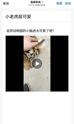 自贡在线aqq最新版本