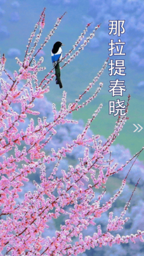 新源好地方最新版