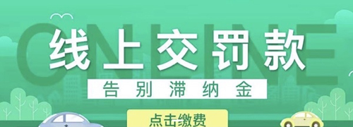 123123违章查询平台安卓版