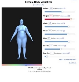 bodyvisualizer中文版