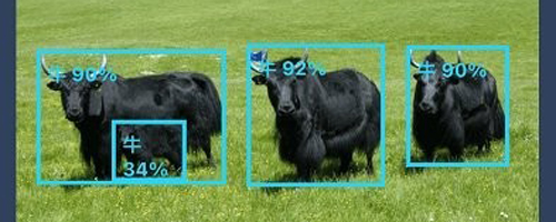 幸运之眼发现虫草app