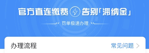 123123违章查询平台安卓版