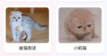 猫语翻译大师app
