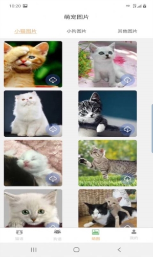 昊捷猫狗翻译app